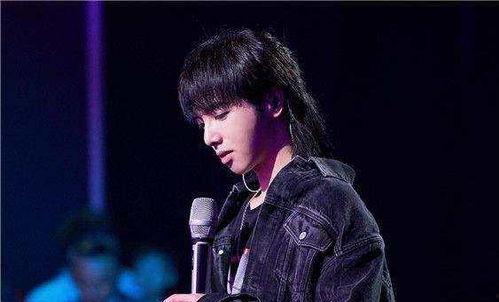 娱乐圈吃瓜华晨宇是谁