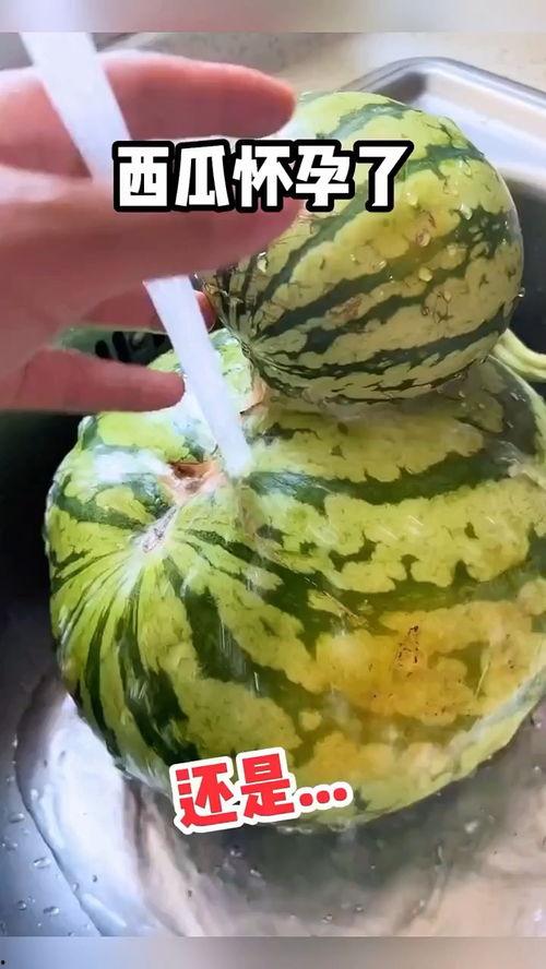 娱乐吃瓜配音视频大全,全网热门娱乐吃瓜配音视频大盘点